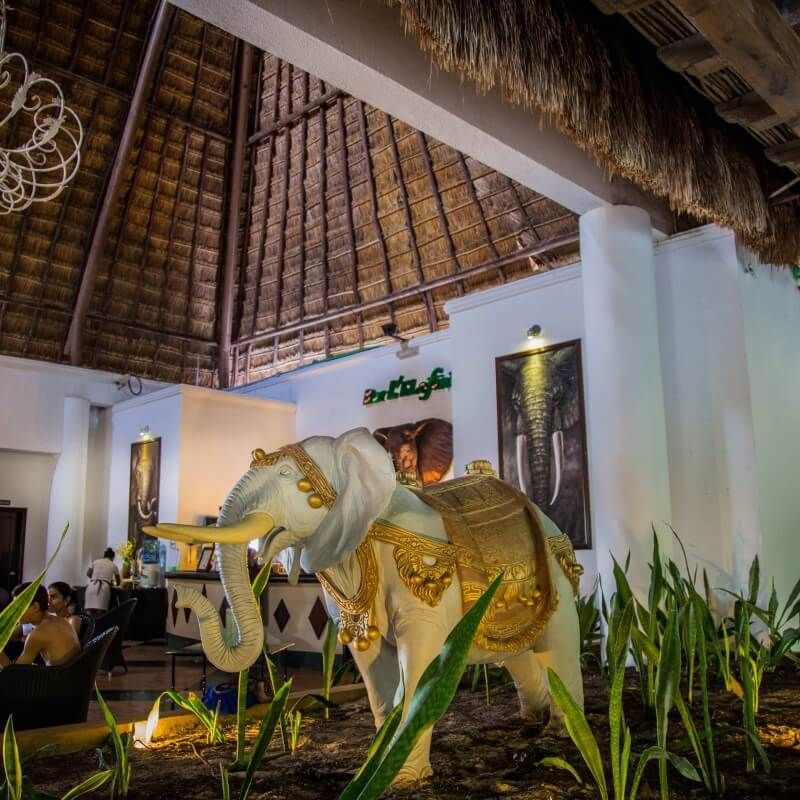 L'Elefant Bar at Sandos Caracol Eco Resort